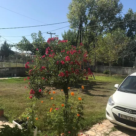 Aristidis Apartamento Agios Georgios (Corfu)